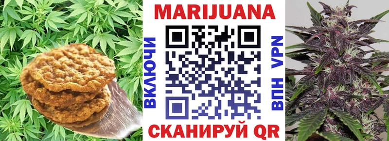 KRAKEN как войти  Куртамыш  Canna-Cookies марихуана  купить наркоту 