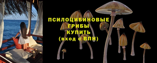 молекула духа Алексеевка